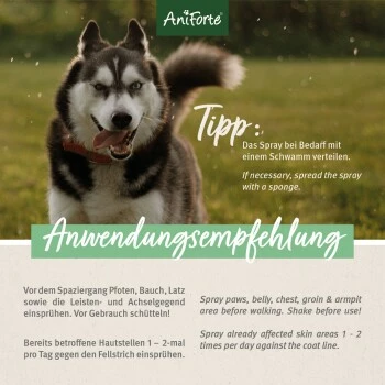 Aniforte Grasmilben-EX Spray Für Hunde 500ml 4 Aniforte Grasmilben-EX Spray Für Hunde 500ml – Bild 2