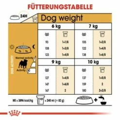 ROYAL CANIN Mops Adult 3 Kg 10 ROYAL CANIN Mops Adult 3 Kg -FRESSNAPF Geschäfte f2244399c853930b3f2cc16b895b12d50582f1ad 96d715ecc770ce1d7e448d4723667ee0280ef9f5