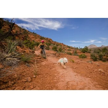 Ruffwear Swamp Cooler Zip™ Kühlweste Für Hunde Pink XL 13 Ruffwear Swamp Cooler Zip™ Kühlweste Für Hunde Pink XL – Bild 11