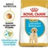 ROYAL CANIN Labrador Retriever Puppy 12 Kg -FRESSNAPF Geschäfte f3ebfaf4819b636721b478daecb69184a7064553 1002892005 de DE labbypupppy