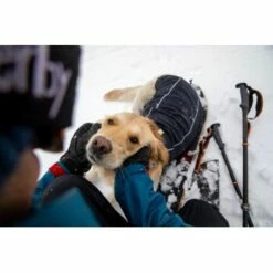 Ruffwear Cloud Chaser™ Hundejacke -FRESSNAPF Geschäfte f46c67f8b7243d976f998e1877675b56fc87eab2 1369625 de DE 51d1c132eb566a7eb9e278708f64567d4e47a10epBiJRc