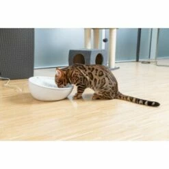 AniOne Keramik-Trinkbrunnen Waterfall Weiß Ohne Ersatzfilter -FRESSNAPF Geschäfte f5666e2f535275128e81462f19991e450c3d3f87 c66954489332ac4ff326811e24559ef9b2854fac