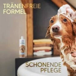 Pawlie's Welpenshampoo -FRESSNAPF Geschäfte f56801adb1bee6d0b5fdd328d641fa773ce5d4c4 1626204 de DE 7b87b87a2e48e8c0e12b98c918c4d75b538aae40E5TfEc
