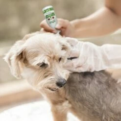Aniforte Spot-on Für Hunde Ectoprotex -FRESSNAPF Geschäfte f58064c077afd7be415e57debdb42263c56ea1ad 1507581 de DE e1b218ca1c3937e8f75234cd6feec9fed95f89181FXoS0
