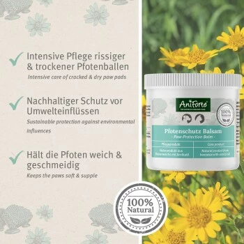 Aniforte Pfotenschutz Balsam 120ml Sommer & Winter 5 Aniforte Pfotenschutz Balsam 120ml Sommer & Winter – Bild 3