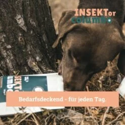 BeG Buddy Trockenfutter Insekten, Hypoallergenes Insektenfutter - Sensitive 4 Kg -FRESSNAPF Geschäfte f85f63dc5514e39c7ef9a303fe5acb15de845d29 1457248 de DE 123bfe8a8f9618b3a58ac5efe483c5e0ad6f0bd2eHaCTU