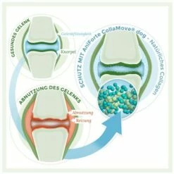 Aniforte CollaMove Kollagen Dog 250 G -FRESSNAPF Geschäfte fbf5a9dc08423de08f5c9740ea99fa2e524d47dc 1457284 de DE 93f83ccbd87110a8284ed4e38cb6148f2a1dc492cVu2P6