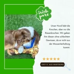 Irish Pure Giant Beef Bone 9 Irish Pure Giant Beef Bone -FRESSNAPF Geschäfte fc09e467ac9750001a659038364b0790920982a2 1288899 de DE 3b559e712b4a15ebe21ce4f69265d21fcd9b4a9efdhT7I