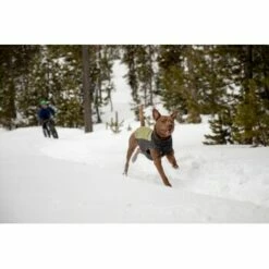 Ruffwear Climate Changer™ Fleece-Pullover Für Hunde Rot S -FRESSNAPF Geschäfte fc22c2bf571467d3b4a13f07039506d1e744f556 1369661 de DE a9fba8eb5491b88489a9522880e926a6833ccfbe7NJDVr