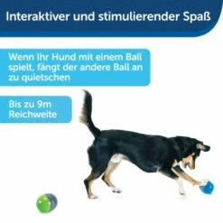 PetSafe Elektronisches Hundespielzeug Ricochet -FRESSNAPF Geschäfte fde7c0cc07cd70611ca47b65ddae3e632f160d94 1418724 de DE 4f6e4953c50827cae26a42d6d5890e56447a49a4XQHEwC