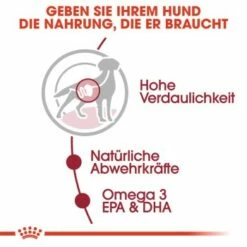 ROYAL CANIN MEDIUM Adult 10x140g -FRESSNAPF Geschäfte fe6b640f91b67bdea30a112f4c79409a8b1d5a34 9003579008362 3