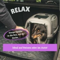 BeG Buddy Körbchen Spray Beruhigung Stress 9 BeG Buddy Körbchen Spray Beruhigung Stress -FRESSNAPF Geschäfte ff97e24f73abe920e2d91b9e82fc0744eeee30cb 1669471 de DE fed409965dbdf1e9c402b568c8bd6838783b1718DPneMm