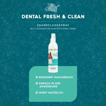 MediDog Dental Fresh & Clean 5 MediDog Dental Fresh & Clean – Bild 3