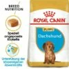 ROYAL CANIN Dachshund Puppy 1,5 Kg -FRESSNAPF Geschäfte ffd8eb52b581ab5d7600a9bc6907490e5d171f78 6519c2966b53e65a2a0af4be83e294852ae97051