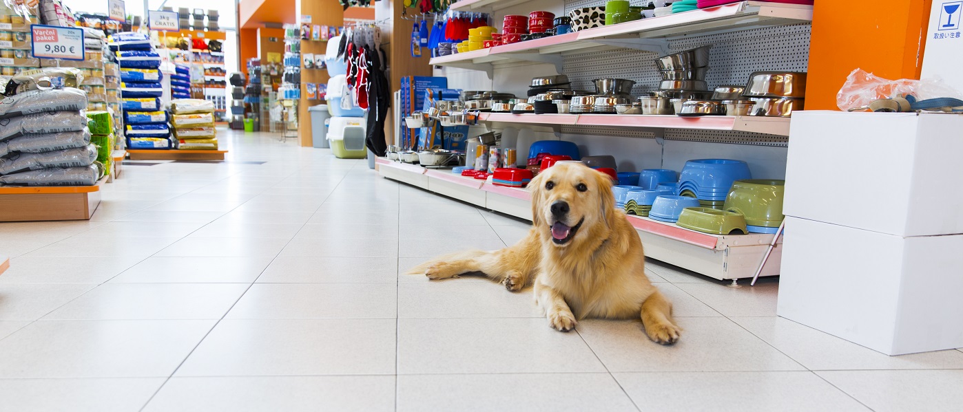 FRESSNAPF Geschäfte 12 FRESSNAPF Geschäfte -FRESSNAPF Geschäfte pet26